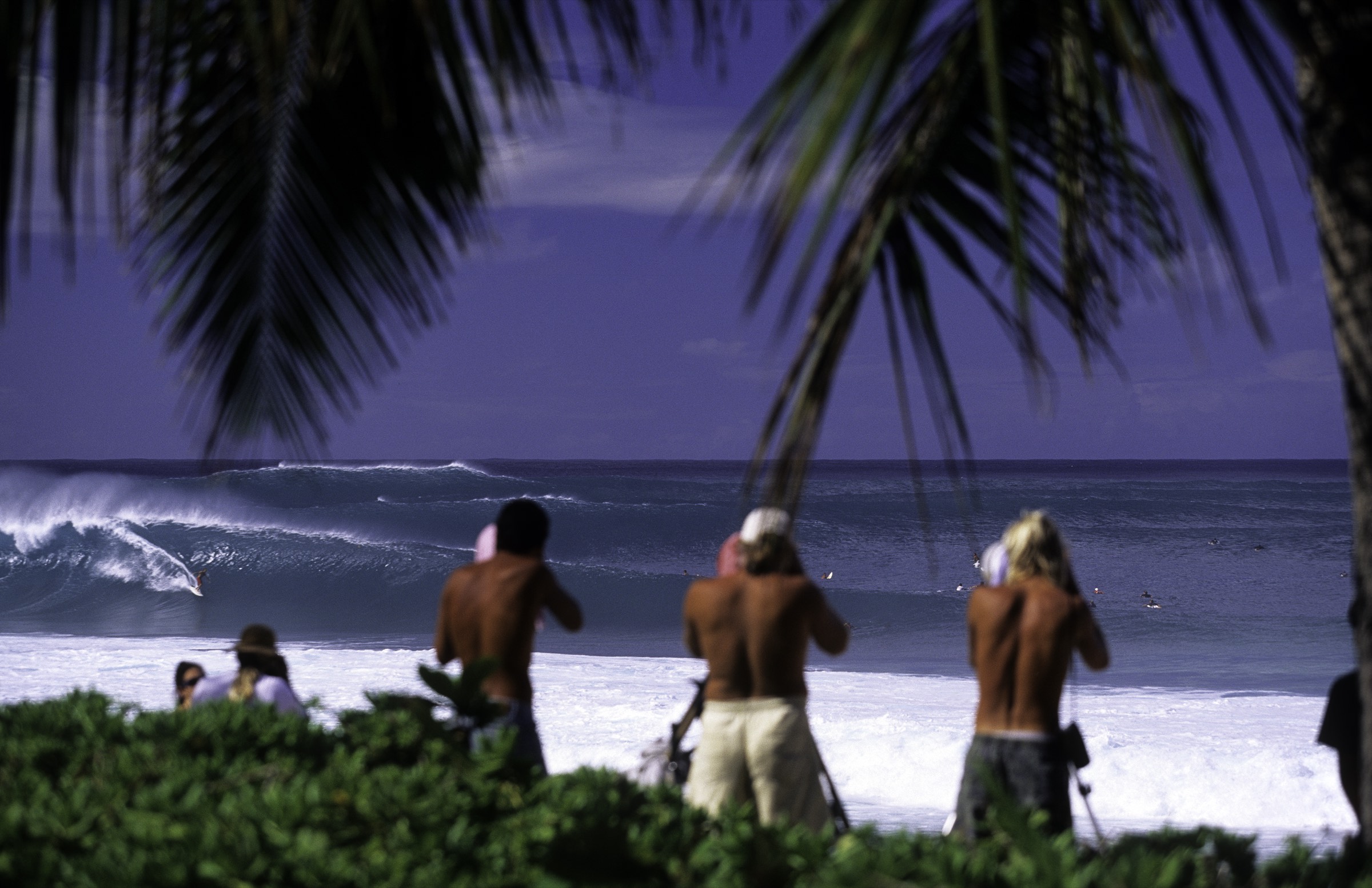 Surf photographers on the beach shooting a wave through the palms