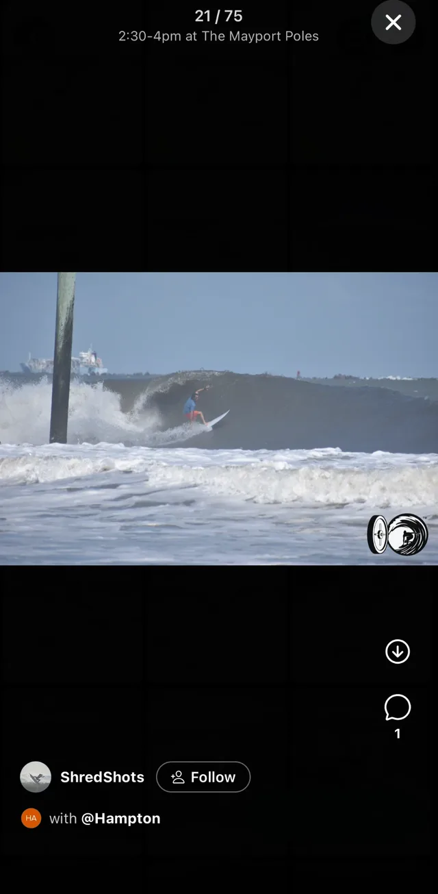 A photo opened in the app, with the SurfVault watermark on the preview